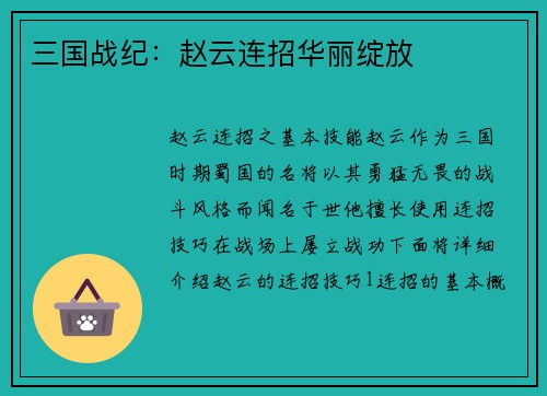 三国战纪：赵云连招华丽绽放