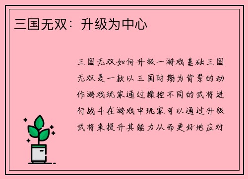 三国无双：升级为中心